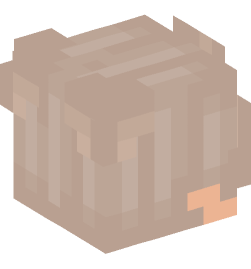 Minecraft head — People