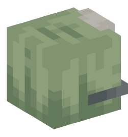 Minecraft head — People
