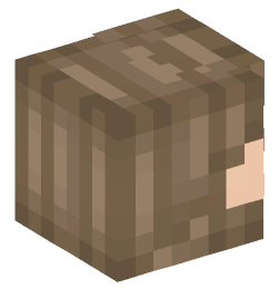 Minecraft head — People