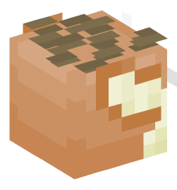 Minecraft head — Creatures