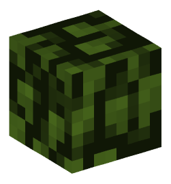 Minecraft head — Plants