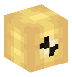Minecraft head — Decor