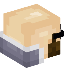 Minecraft head — People