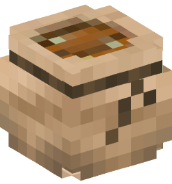 Minecraft head — Decor