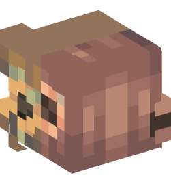 Minecraft head — People