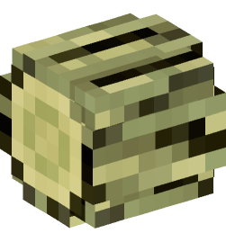 Minecraft head — Blocks