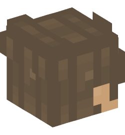 Minecraft head — People