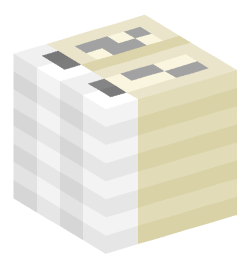 Minecraft head — Decor