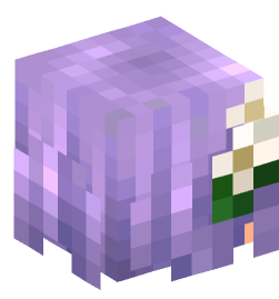 Minecraft head — People