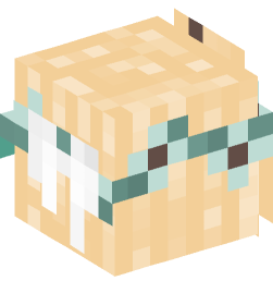 Minecraft head — People