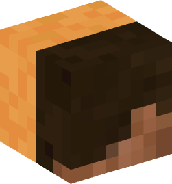 Minecraft head — Creatures