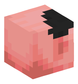 Minecraft head — Animals