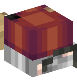 Minecraft head — People