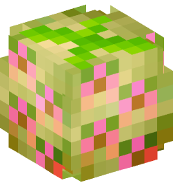 Minecraft head — Plants