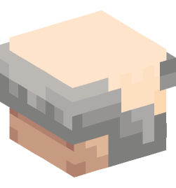 Minecraft head — People