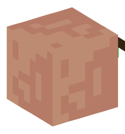 Minecraft head — Creatures