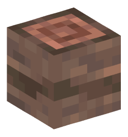 Minecraft head — Blocks