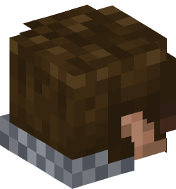 Minecraft head — People