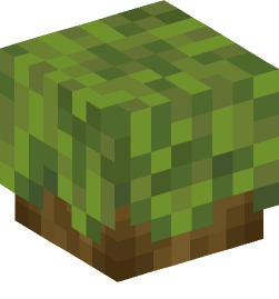 Minecraft head — Plants