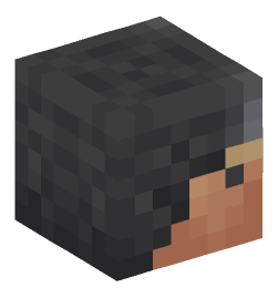 Minecraft head — People