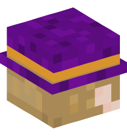 Minecraft head — People