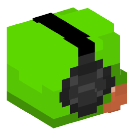 Minecraft head — People