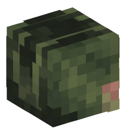 Minecraft head — Animals