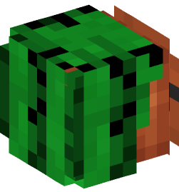 Minecraft head — People