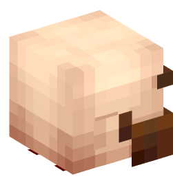 Minecraft head — People