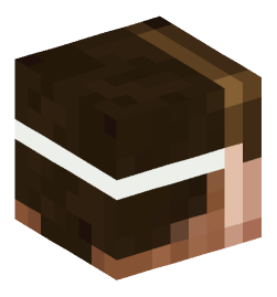 Minecraft head — People