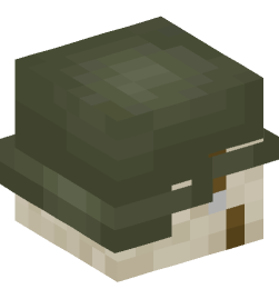 Minecraft head — People