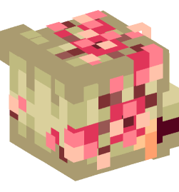 Minecraft head — People