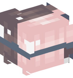 Minecraft head — People