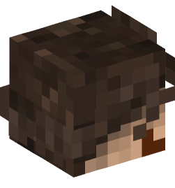 Minecraft head — People