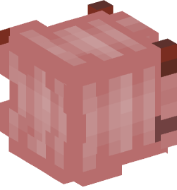 Minecraft head — Creatures