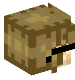 Minecraft head — People