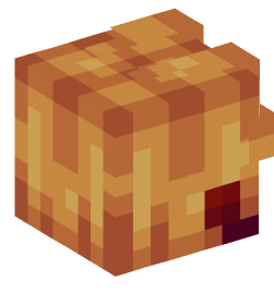 Minecraft head — People