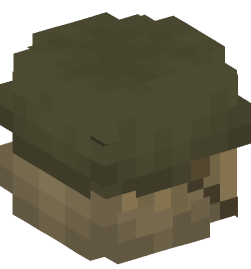 Minecraft head — People