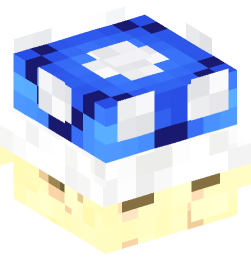 Minecraft head — Decor