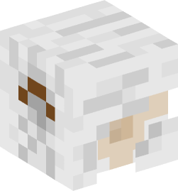 Minecraft head — People