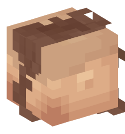 Minecraft head — People