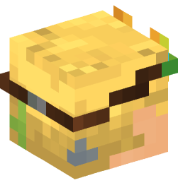 Minecraft head — People