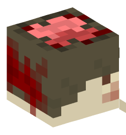 Minecraft head — Creatures