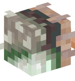 Minecraft head — Animals