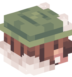 Minecraft head — People