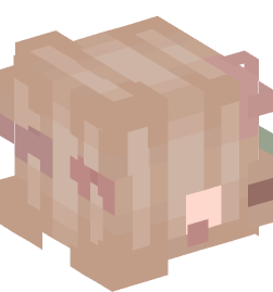 Minecraft head — People