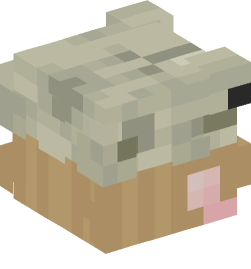 Minecraft head — People