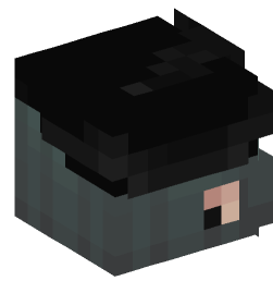 Minecraft head — People