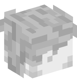 Minecraft head — Decor