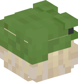 Minecraft head — People